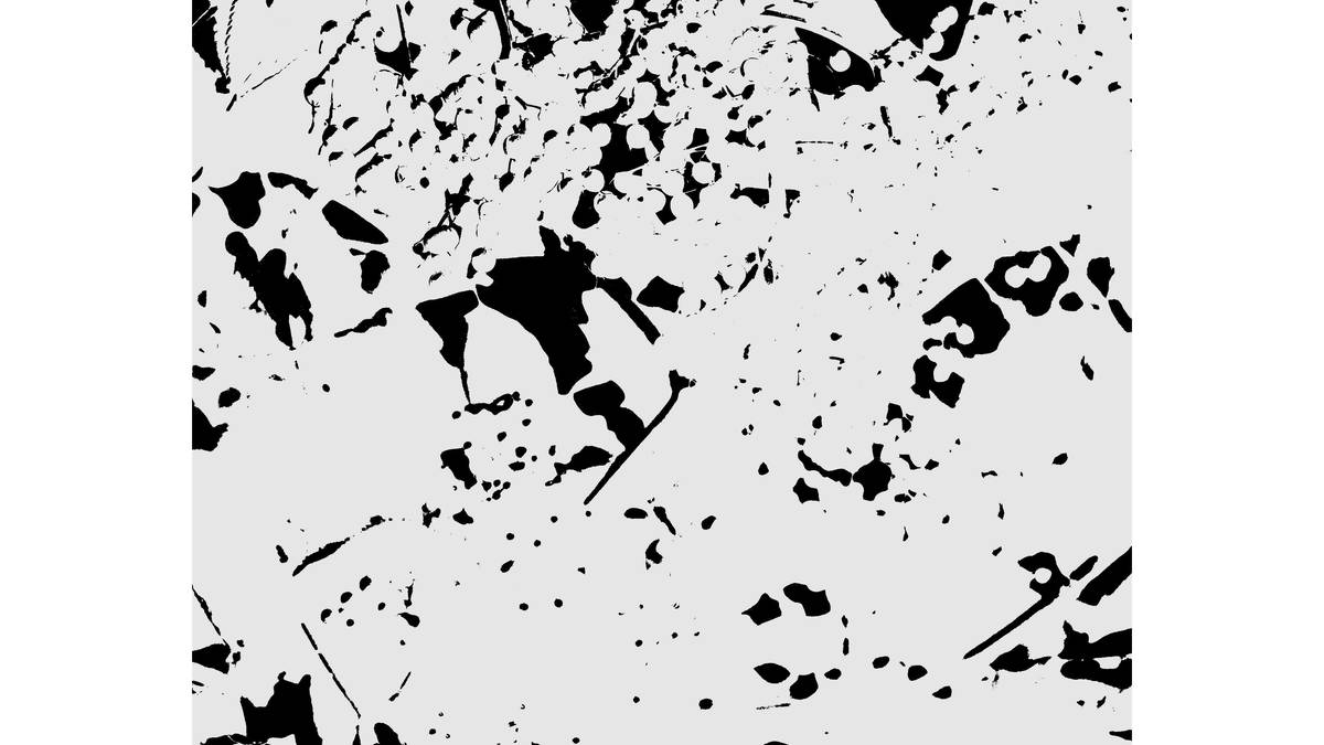 Trasformazioni generate da fotografie,
dal ciclo: Bergeller roter Holunder,
fotografia/stampa a pigmento/legno,
40x30x3 cm