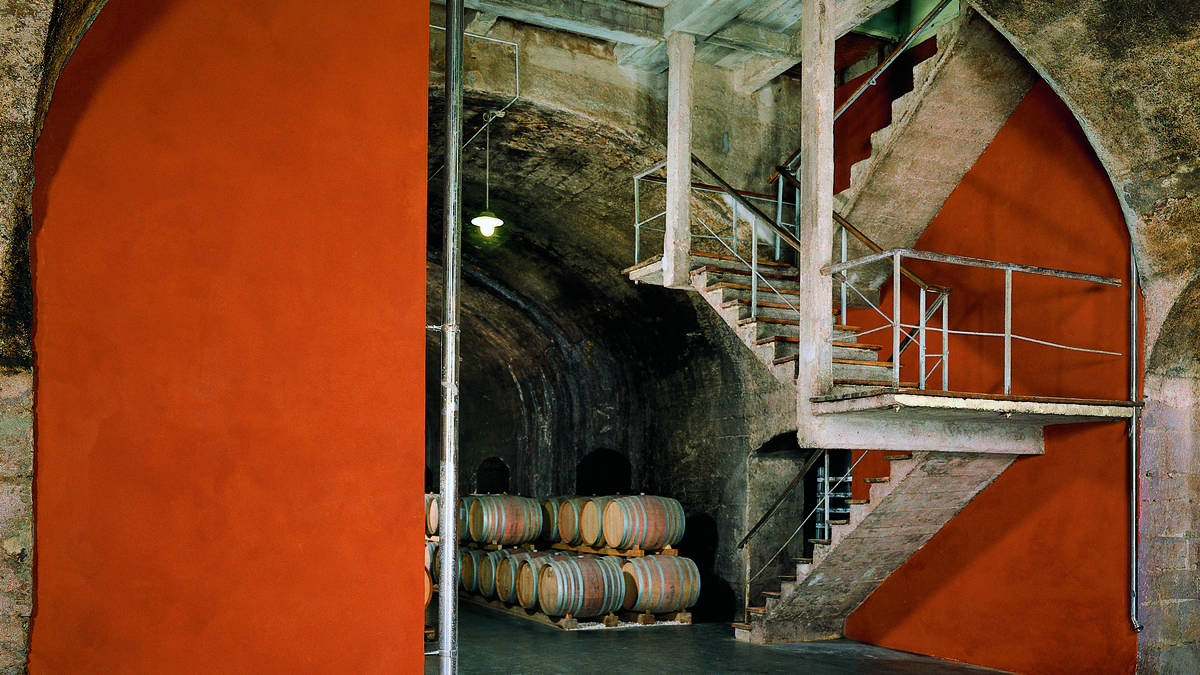 Cantina Caldaro - Barrique cellar,
Artistic intervention - wall and floor design